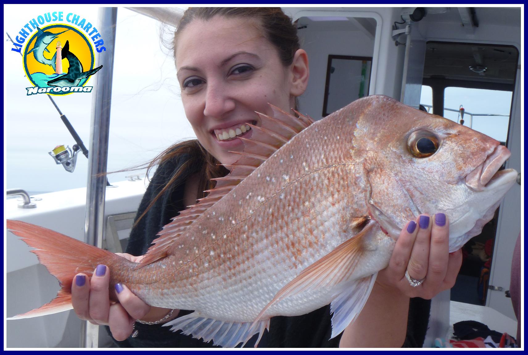 Reef Fishing with Lighthouse Charters Narooma